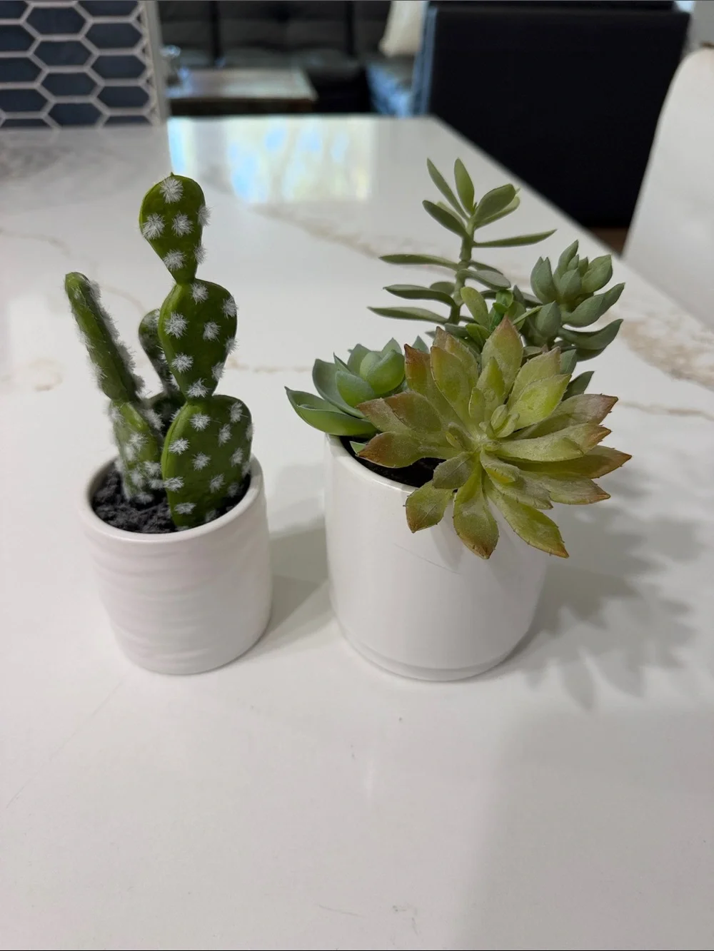 White Ceramic Succulent Planter Duo - Green Faux Succulents & Catcus